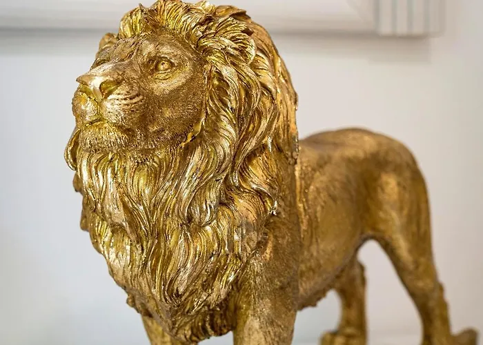 Black Lion Kingdom Daire